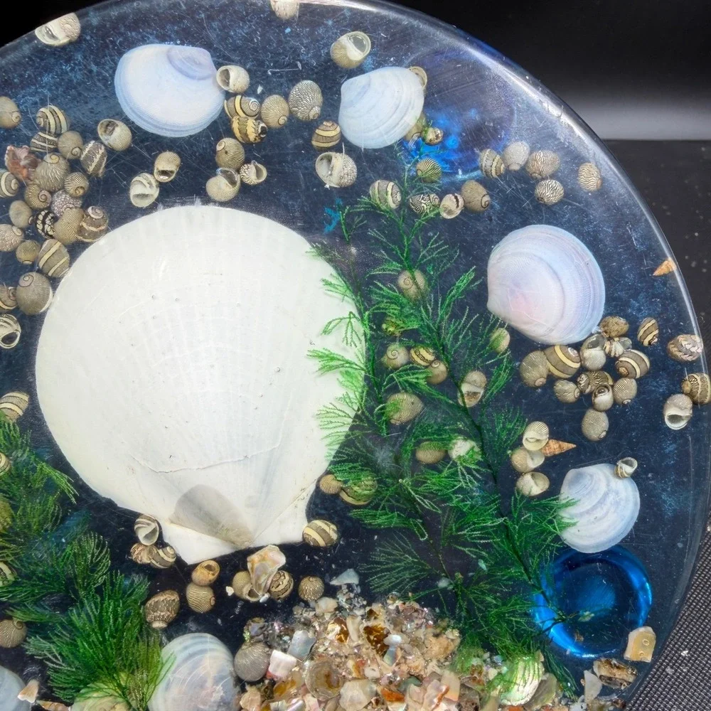 Vintage Lucite Seashell Trivet 6 Inch Round Clear Resin Coastal Decor Blue White